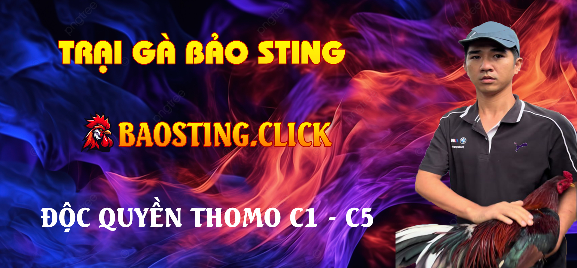 banner-baosting-click